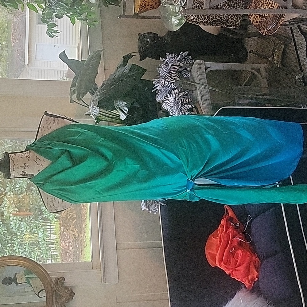 Dress by AKIRA NWT
